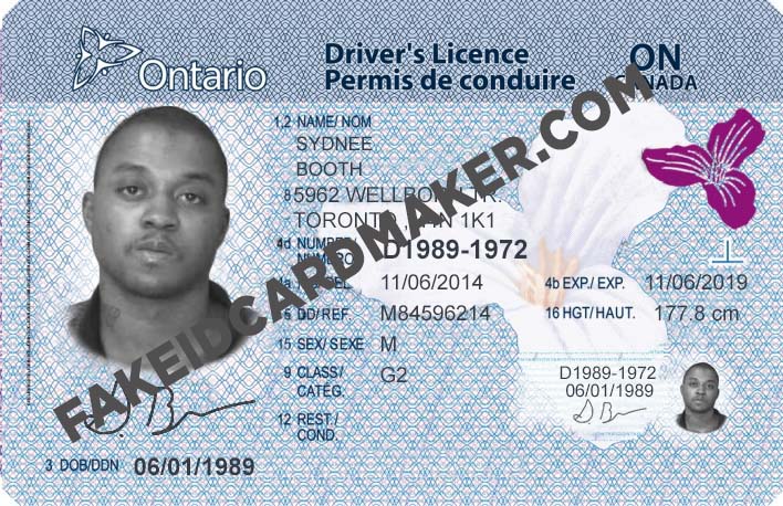 fake real drivers license picture generator